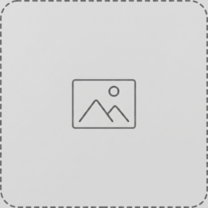 image-placeholder